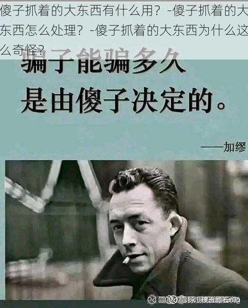 傻子抓着的大东西有什么用？-傻子抓着的大东西怎么处理？-傻子抓着的大东西为什么这么奇怪？