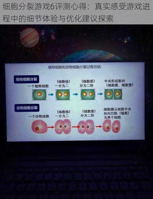 细胞分裂游戏6评测心得：真实感受游戏进程中的细节体验与优化建议探索