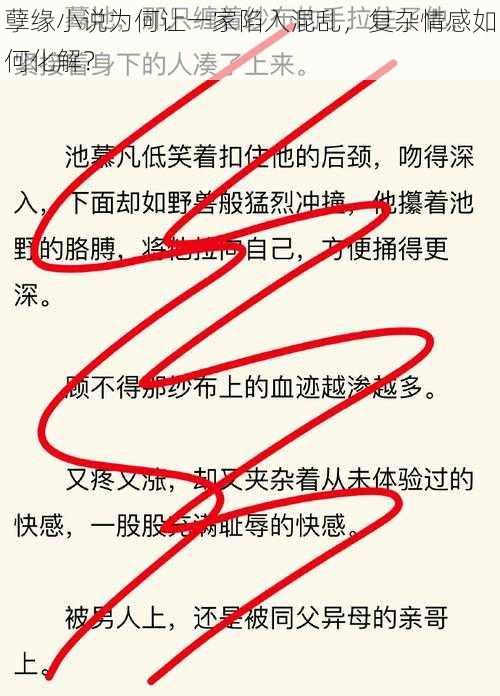 孽缘小说为何让一家陷入混乱，复杂情感如何化解？