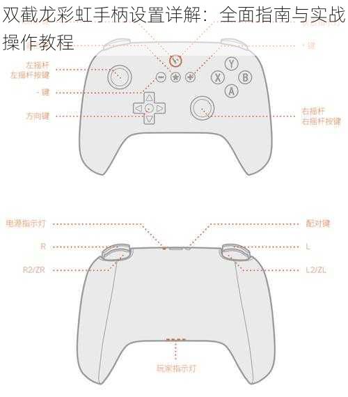 双截龙彩虹手柄设置详解：全面指南与实战操作教程