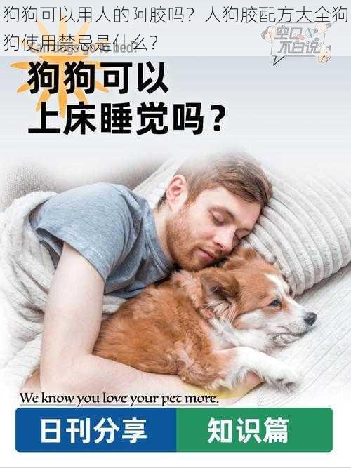 狗狗可以用人的阿胶吗？人狗胶配方大全狗狗使用禁忌是什么？