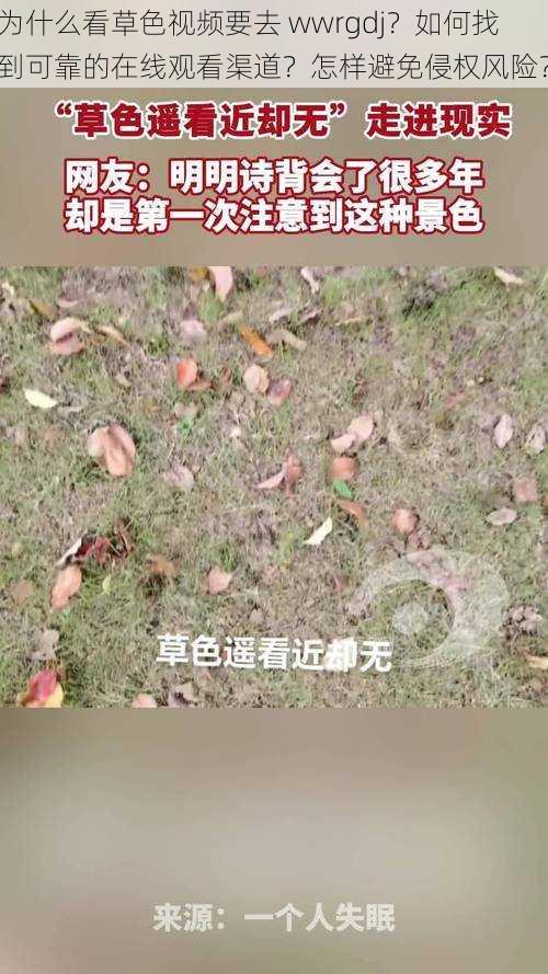 为什么看草色视频要去 wwrgdj？如何找到可靠的在线观看渠道？怎样避免侵权风险？