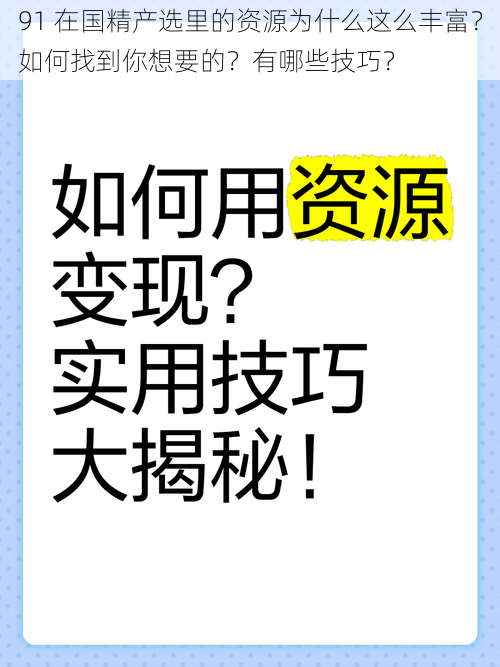 91 在国精产选里的资源为什么这么丰富？如何找到你想要的？有哪些技巧？