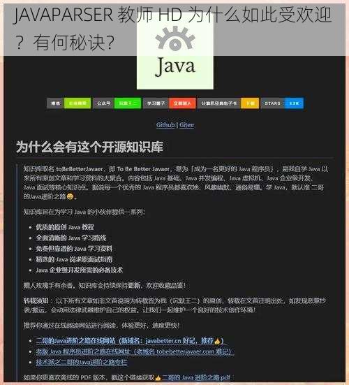 JAVAPARSER 教师 HD 为什么如此受欢迎？有何秘诀？