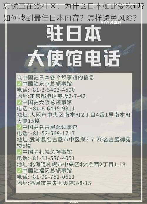 忘忧草在线社区：为什么日本如此受欢迎？如何找到最佳日本内容？怎样避免风险？