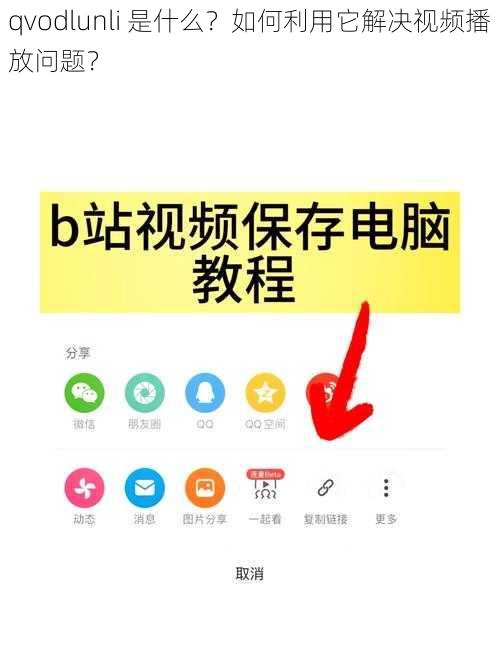 qvodlunli 是什么？如何利用它解决视频播放问题？