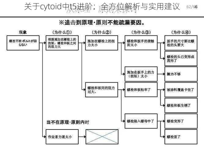 关于cytoid中t5进阶：全方位解析与实用建议